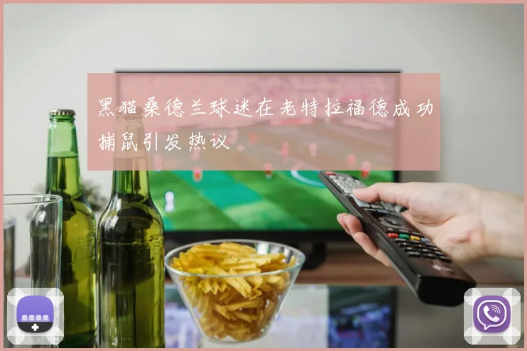 黑猫桑德兰球迷在老特拉福德成功捕鼠引发热议