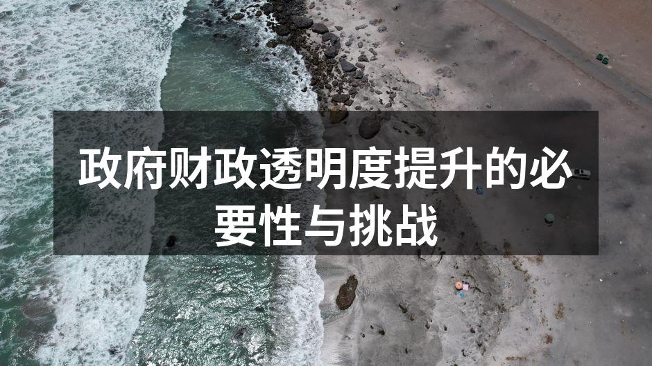 政府财政透明度提升的必要性与挑战