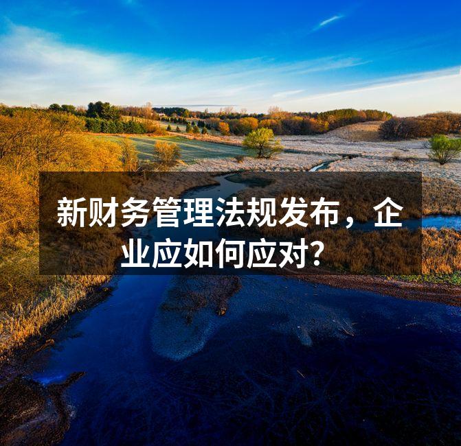新财务管理法规发布，企业应如何应对？
