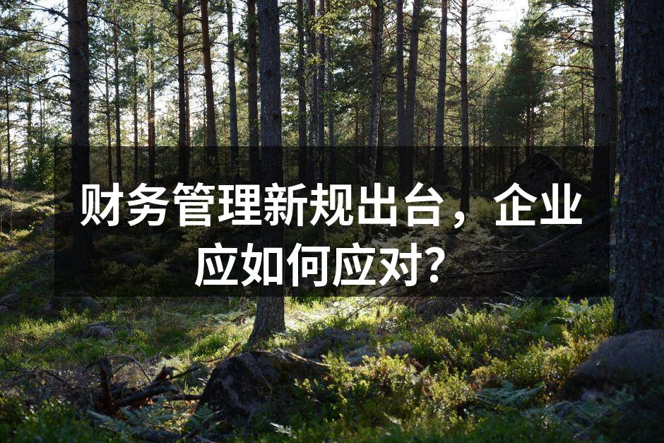 财务管理新规出台，企业应如何应对？