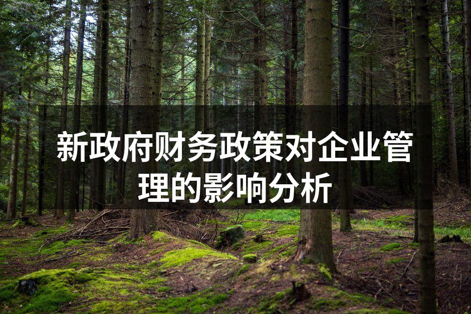 新政府财务政策对企业管理的影响分析