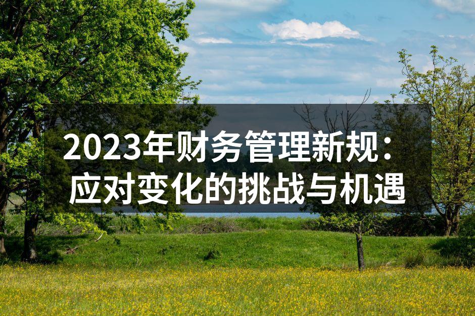 2023年财务管理新规：应对变化的挑战与